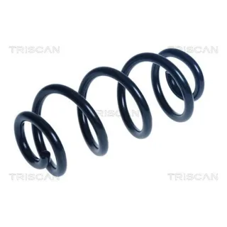 Triscan Feder hinten Audi A4 A5 875029499