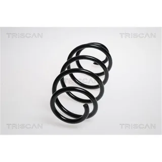 Triscan Feder vorne VW Golf 5 Plus 2,0