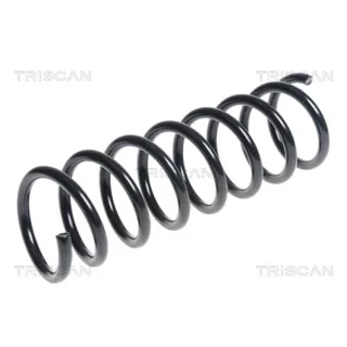 Triscan Feder hinten Volvo C70 875027117