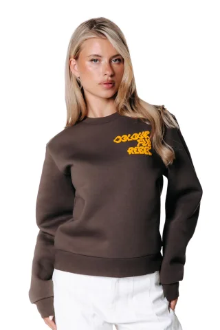 Colourful Rebel - Logo Wave Relaxed Sweat Brown - Gr. - XS