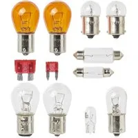 ProPlus Rückleuchte Lampenersatzkasten 12V mit Lichter & Leuchten für Anhänger & Wohnwagen, E4 geprüft