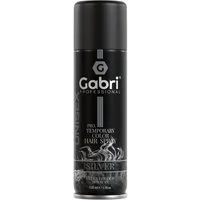 Gabri Professional Haartönung Gabri Professional - Pro Temporary Hair Colour Spray Silver 150ml