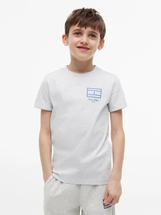 OUTLINE FLAG GRAPHIC T-SHIRT SS Light Grey Heather - Gr. - 10