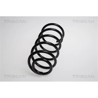Triscan Feder vorne VW New