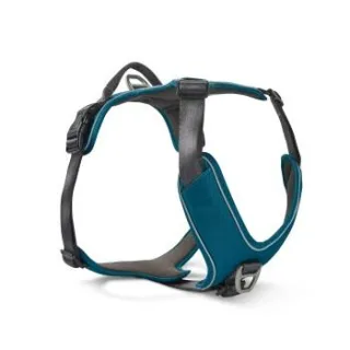 Wolters Active Pro Comfort Hundegeschirr anthrazit / petrol XS