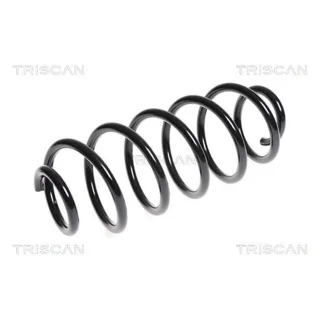 Triscan Feder hinten Fiat Bravo 875015170