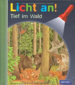Meyer. Die kleine Kinderbibliothek - Licht an!: Licht an! Tief im Wald: Band 21