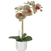 Kunstorchidee Phalaenopsis, Creativ green, Höhe 46 cm, mit Real-Touch-Blüten