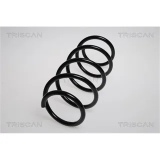 Triscan Feder vorne Renault Grand Sc?nic 87502565