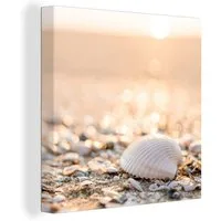 OneMillionCanvasses® Leinwandbild Muscheln - Weiß - Strand - Sommer, Fotodruck (1 St), Wandbild, Deko Schlafzimmer Wohnzimmer Flur 20x20 cm