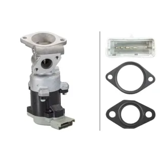 Hella AGR-Ventil Citroen Jaguar Land Rover Peugeot 2,7