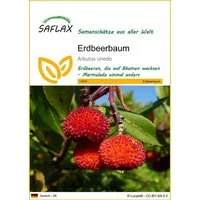 SAFLAX Blumensamen SAFLAX - Samen - Erdbeerbaum