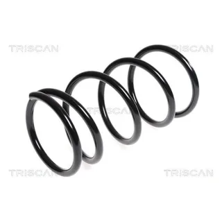 Triscan Feder vorne Citroen Mitsubishi Peugeot 87501040