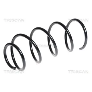 Triscan Feder vorne BMW 1er E87