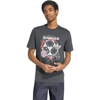 adidas Performance T-Shirt FC Bayern München, T-Shirt Graphic, Herren, Grau