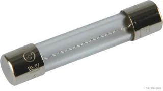 HERTH&BUSS Sicherung, Glas, F flink, 6,3 x 32mm, 250V max. - 50295151