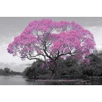 Poster Tree - Poster - Blossom