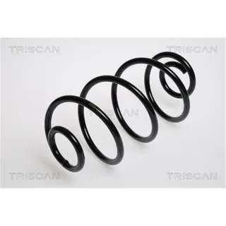 Triscan Feder hinten Opel Astra G 875024020A