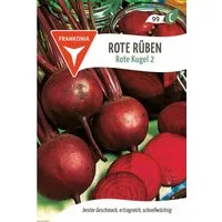 FRANKONIA Gemüsesamen Rote Rübe, Rote Kugel 2 - Rote Beete Bete Saatgut Samen, Beta vulgaris