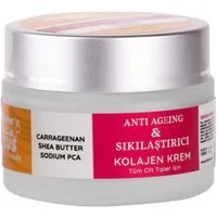 Softto Plus Feuchtigkeitscreme Collagen Anti Ageing & Lifting Cream - Intensive Feuchtigkeitspflege