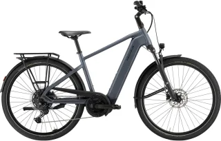 E-Bike  - Pegasus Solero Evo 10 Herren grau . 2026    - 50 cm