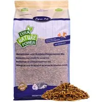 Lyra Pet 5 kg Lyra Pet® Mehlwürmer-/Soldatenfliegenlarven-Mix, für: Wildvogel, Nager, Reptilien, Fisch