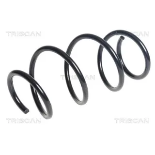 Triscan Feder vorne BMW 2er X1 875011227
