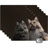 MuchoWow Platzset Zwei süße Maine Coon Katzen, (6-St), Platzsets, Tischset, Abwaschbar, Tischsets, Platzdeckchen