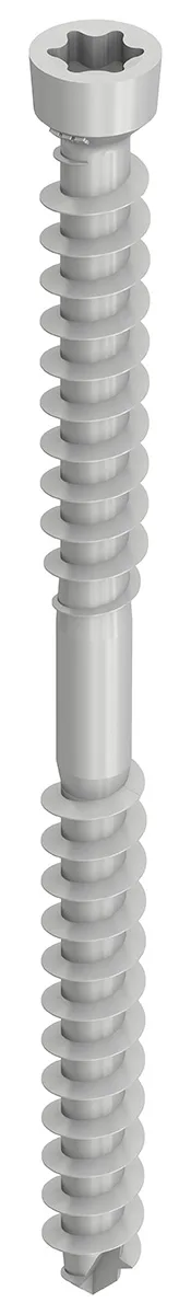 HECO WT-T Zylindersenkkopf, T-Drive, Durocoat E15, 4,5mm, 200 Stück - 59274