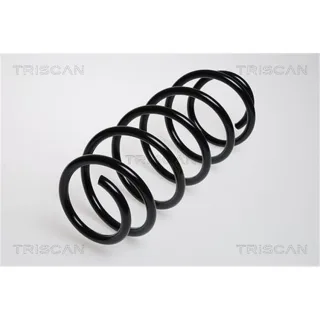 Triscan Feder vorne Audi 80
