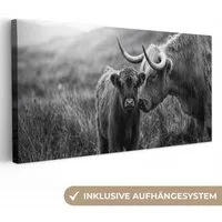 OneMillionCanvasses® Leinwandbild Panorama Schottischer Highlander - Kalb - Schwarz - Weiß, Fotodruck (1 St), Wandbild, Deko Schlafzimmer Wohnzimmer Flur 40x20 cm