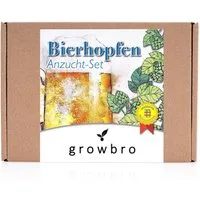 Kunstpflanze Hopfen Anzuchtset DER WEG ZU DEINEM EIGENEN BIER Geschenk für Männer, growbro, - Unser Bestseller, bekannt aus Social Media