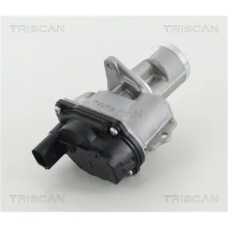 Triscan AGR-Ventil Audi Porsche VW 3,0