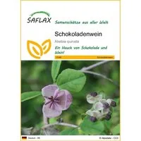 SAFLAX Blumensamen SAFLAX - Samen - Schokoladenwein