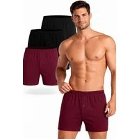 DDOnlineShop Boxershorts Herren Retroshorts Unterhosen Slips (Packung,Spar-Set, 4-St., 4er-Pack) Premium Qualität A1099