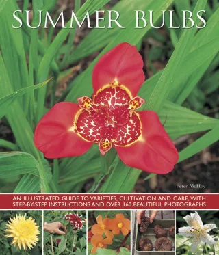 Summer Bulbs: An Illustrated Guide to Varieties Cultivation and Care with Step-by-step Instructions and Over 160 Beautiful Photographs