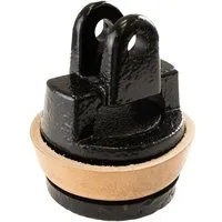 TRUTZHOLM Wasserpumpe Ersatzkolben für Schwengelpumpe Typ 75 mit Lederdichtung (Produkt)