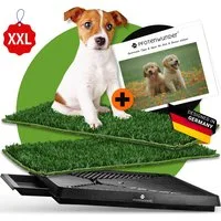 PfotenWunder Hundetoilette Hundetoilette XL 76*51cm Hunde-Klo kleine große Hunde Welpen-Toilette, Inkl 2 Easy-Wash-Rasen, 2x Anti-Rutsch-Pads mit der Hundetoilette