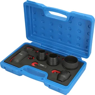 Brilliant Tools Kurbel-/Nockenwellen-Radialdichtring-Ausziehsatz für VAG - BT542070