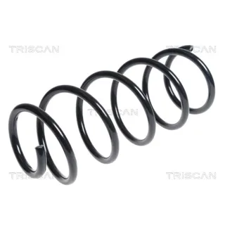 Triscan Feder vorne Peugeot 508 2,0 875028219