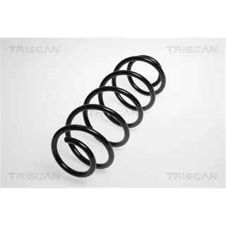Triscan Feder hinten Mercedes B-Klasse W245 875023106