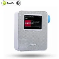 Blaupunkt PIB 100 Steckdosen-Radio (Internetradio)