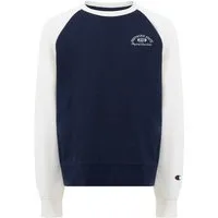 Champion Sweatshirt ICONS Loose Fit Terry Crewneck Sweashirt mit Rundhalsausschnitt, ohne Verschluss, aus Baumwolle und Polyester