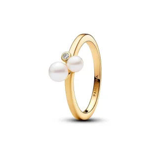 Pandora Damenring Pandora Timeless 163156C01-52