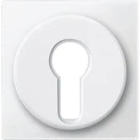 Zentralplatte für Wechsel-Rastschalter-Einsatz, Typ 318119, Kunststoff, matt, 55x55 mm weiß (matt), Retail