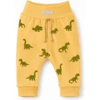 La Bortini Schlupfhose Baby Hose neutral Mitwachshose für Neugeborene (Erstlingshose) mit Dinosmuster, 44 46 50 55 62 68 74 80 86 92