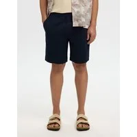 Selected Shorts SLHREGULAR-HARVEY SUMMER SHORTS NOOS