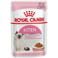Royal Canin Kitten in Sauce 85 g - 12 Stück, für: Katze