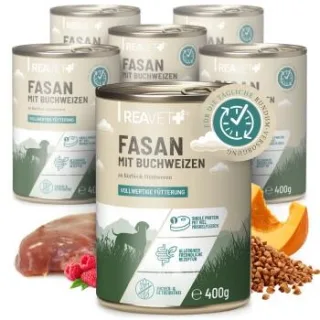 REAVET Hundenassfutter - Fasan mit Buchweizen an Kürbis & Himbeeren 6x400 g