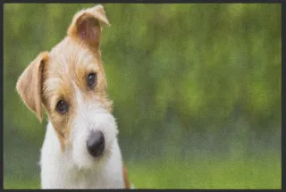 Fussmatte Hund 4541 | Größe: 60 cm x 45 cm